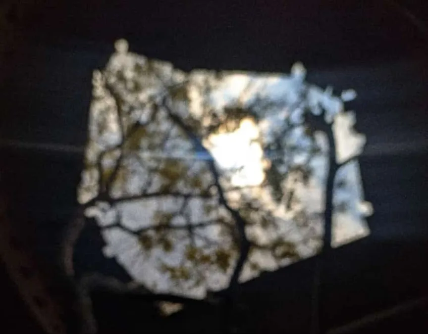 Photograph from You must hold your quiet center